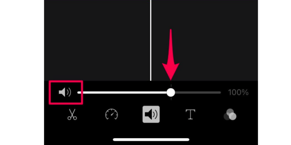 Adjust or Remove the Audio